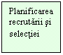 Text Box: Planificarea recrutarii si selectiei